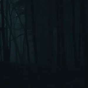 Mysterious shadowy figure in a dense forest.