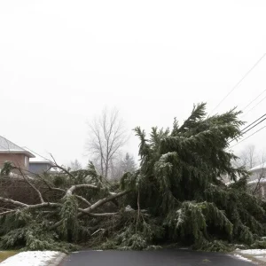 Suburban neighborhood affected by winter storm with fallen trees and power lines