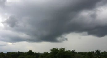 Severe Weather Warning: Tornado Watches for Georgia and South Carolina