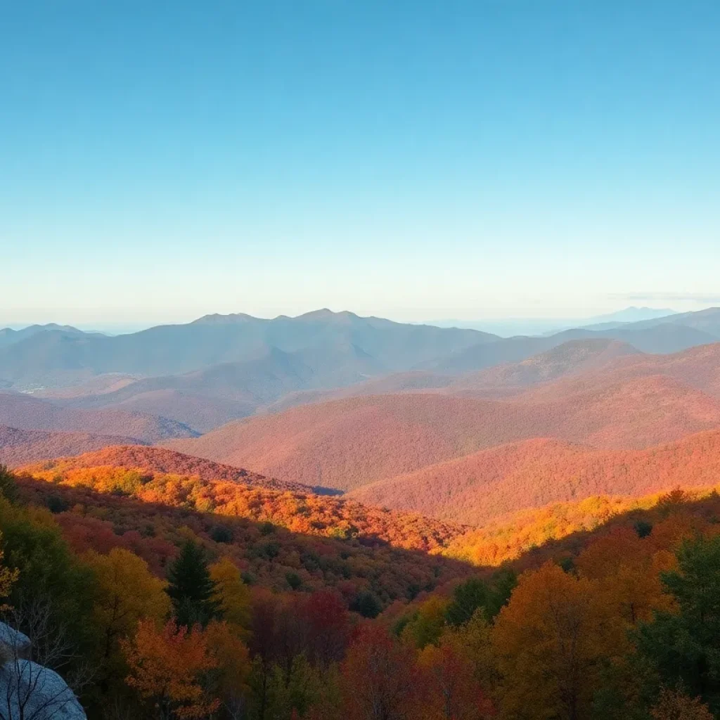 Asheville Autumn Foliage