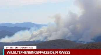 Forest Fires Lead to Emergency Evacuations in Upstate South Carolina