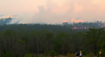 Wildfires Continue to Ravage South Carolina’s Upstate
