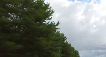 Wind Advisory Hits Upstate and Northeast Georgia