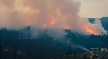 Carolina Wildfires Prompt State of Emergency and Evacuations