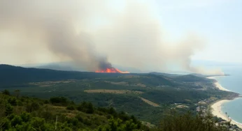 Myrtle Beach Faces Wildfire Crisis Amid State of Emergency